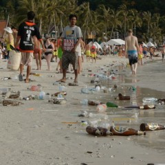 Trouble in Paradise - Thailand's Full Moon Party